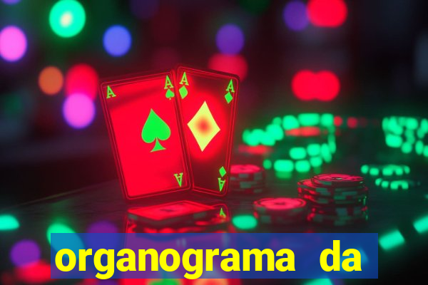 organograma da cacau show